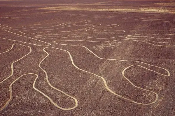 Las líneas de Nazca