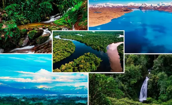 Destinos de selva en Perú que debes conocer