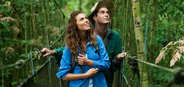 Por qué hacer un viaje a la selva