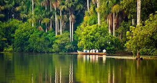Viaje a la selva , destinos que debes conocer