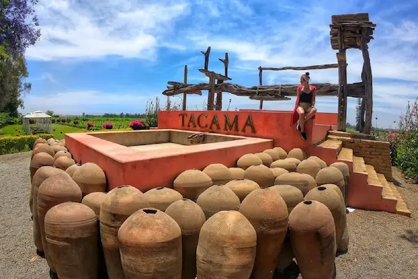 Bodegas de pisco y vino