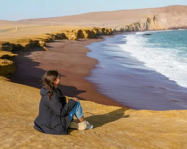 Reserva nacional de Paracas es uno de los mas importantes lugares para visitar en ica