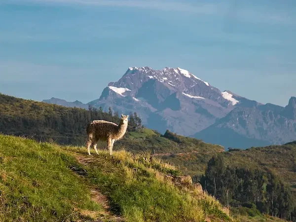 ¿Qué ver en Huchuy Qosqo?