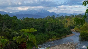 lugares turisticos de la selva peruana