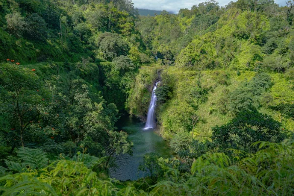 Cascada Wailua en la Road to Hana, Maui